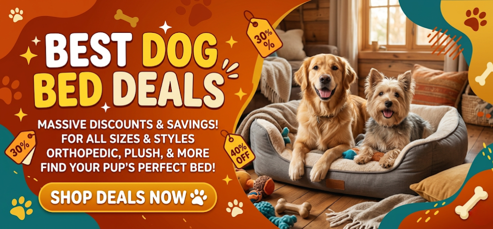 Best Dog Bed Deals
