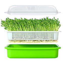 LeJoy Garden Seed Sprouter Tray BPA Free PP Soil-Free Big Capacity Healthy Wheatgrass Grower with Lid Sprouting Kit 13.4x9.84x4.72 inches(LxWxH)