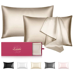 Silk Pillowcase 2 Pack for Hair and Skin, 22 Momme 100% Mulberry Silk & Natural Wood Pulp Fiber Grade 6A Double-Sided Silk Pillow Cases with Hidden Zipper, 600 Thread Count (Champagne, King 20 x36 )