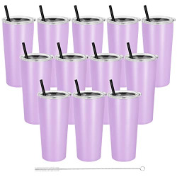 DOMICARE 20oz Tumblers Bulk Stainless Steel Tumbler with Lid and Straw Vacuum Insulated TumblersTravel Mug Bulk Powder Coated Coffee Cups Double Wall Tumbler in Bulk (Purple, 12)