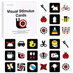 Richgv High Contrast Flash Cards for Infant Toddler and Baby.Cognitive Cards 20pcs with 40 Pages.Visual Stimulation Sensory Toy Educational Baby Gift for 3-6months