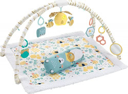 Fisher-Price Honey Bee Music & Lights Activity Gym, bee-themed infant playmat with tummy time prop and activity toys