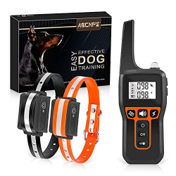 Dog Shock Training Collar for 2 Dogs - Waterproof Rechargeable Dog Electric Training Collar with Remote for Small Medium Large Dogs with Beep, Vibration, Safe Shock Modes (8-120 Lbs)