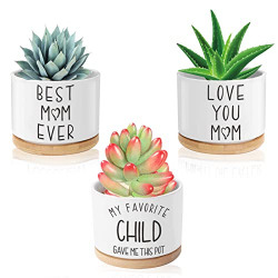 Birthday Gifts for Women Unique Gift for Mom Funny Succulent Pots, 3.15 inch Ceramic Flower Plant Pots with Bamboo Tray, Cute Cactus Planters with Drainage Hole, Pack of 3 - Plants Not Included