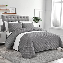 Charlie Allen Quilt Bedding Set Queen Size, 3 Piece Bedspread Soft Microfiber and Reversible Bedspread Coverlet Grey 90 x90 