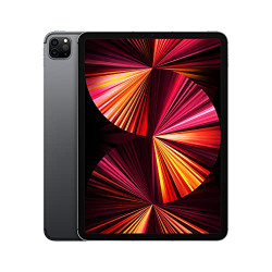 2021 Apple 11-inch iPad Pro Wi-Fi + Cellular 256GB - Space Gray