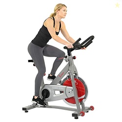 Sunny Health & Fitness Pro II Indoor Cycling Bike with Device Mount and Advanced Display  SF-B1995, Silver