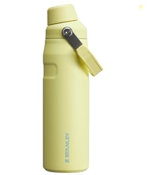 Stanley IceFlow Fast Flow Water Bottle 24 oz | Angled Spout Lid | Lightweight and Leakproof for Travel and Sports | Insulated Stainless Steel | BPA-Free | Pomelo