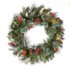 National Tree Company 24 in Pre-Lit Wintry Pine Flocked Artificial Christmas Wreath, Christmas Decoration with Pinecones, Red Berries, 50 Clear LED Lights, 113 Tips, Timer, Green