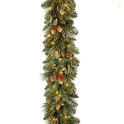 NATIONAL TREE COMPANY 9 FT PRE-LIT CAROLINA PINE ARTIFICIAL CHRISTMAS GARLAND, CHRISTMAS DECORATION WITH PINECONES, 100 CLEAR LIGHTS, 240 TIPS, GREEN