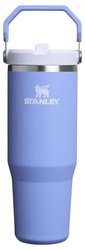STANLEY IceFlow 2.0 Flip Straw Tumbler with Handle 30 oz | Twist On Lid and Flip Up Straw | Leak Resistant Water Bottle | Insulated Stainless Steel | BPA-Free | Hydrangea
