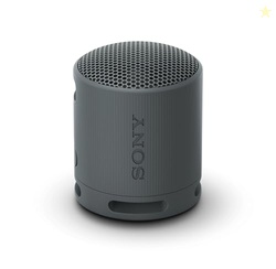 SONY SRS-XB100 WIRELESS BLUETOOTH PORTABLE LIGHTWEIGHT SUPER-COMPACT TRAVEL SPEAKER, DURABLE IP67 WATERPROOF & DUSTPROOF SHOWER SPEAKER, 16 HOUR BATTERY, VERSATILE STRAP, & HANDS-FREE CALLING, BLACK