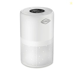 Clorox Turbo Air Purifiers for Home, True HEPA Filter, Quickly Cleans Medium Rooms Up to 1,000 Sq Ft, Reduces 99.9% of Mold, Viruses, Wildfire Smoke, Allergens, Pet Allergies, Dust, Whisper Quiet