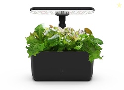 AeroGarden Harvest Lite in Black, Soil-Free Indoor Hydroponic Garden with LED Grow Light for Year-Round Gardening of up to 6 Herbs and Vegetables