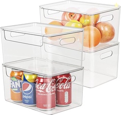 Clear Plastic Storage Bin with Lid (4pc)