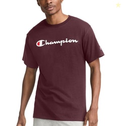 Champion mens Classic T-shirt, Script Logo T Shirt, Maroon-y07718, Medium US